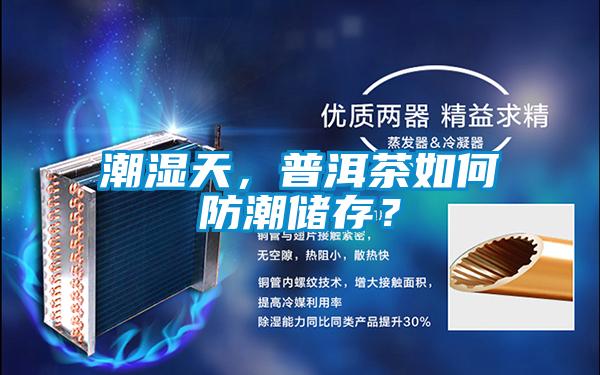 潮湿天，普洱茶如何防潮储存？