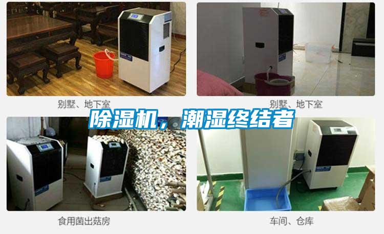 草莓视频黄色在线观看机，潮湿终结者