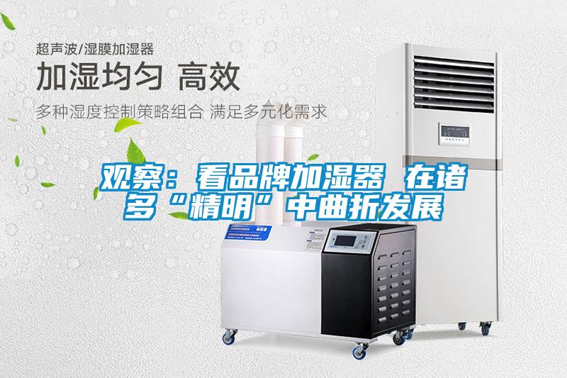 观察：看品牌加湿器 在诸多“精明”中曲折发展
