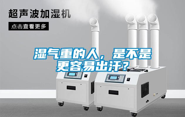 湿气重的人，是不是更容易出汗？