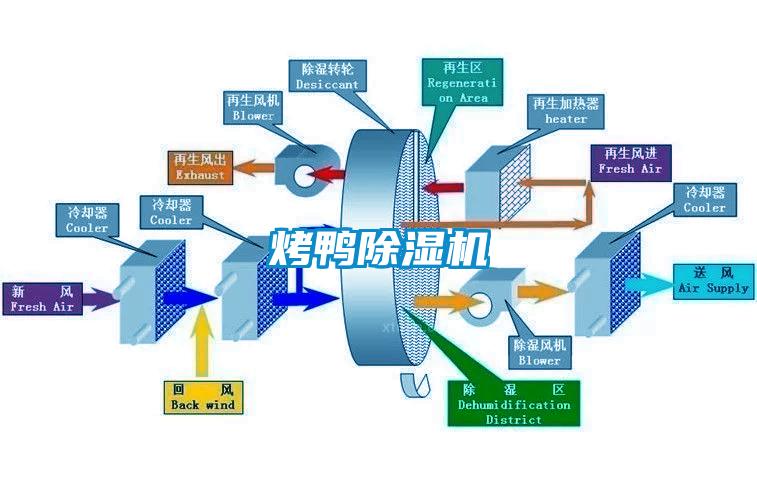 烤鸭草莓视频黄色在线观看机