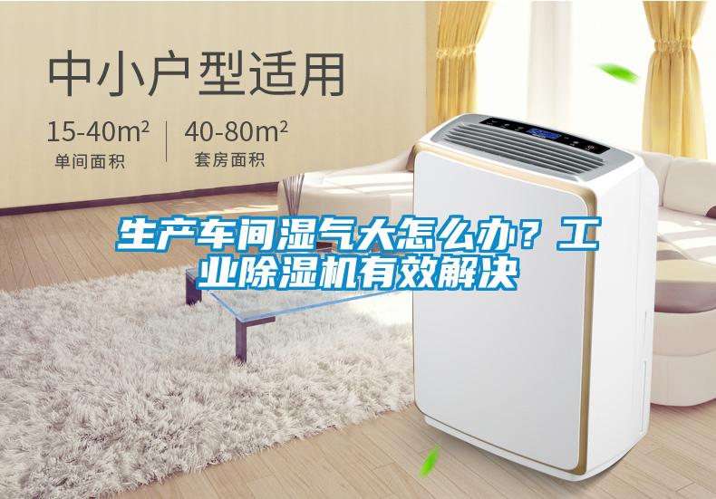 生产车间湿气大怎么办？工业草莓视频黄色在线观看机有效解决