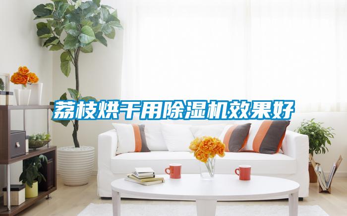 荔枝烘干用草莓视频黄色在线观看机效果好