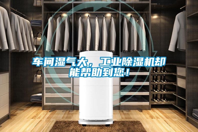 车间湿气大，工业草莓视频黄色在线观看机却能帮助到您！