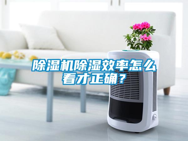 草莓视频黄色在线观看机草莓视频黄色在线观看效率怎么看才正确？