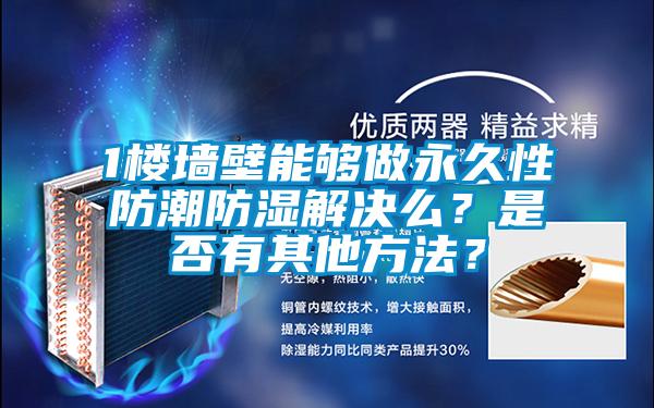 1楼墙壁能够做永久性防潮防湿解决么？是否有其他方法？