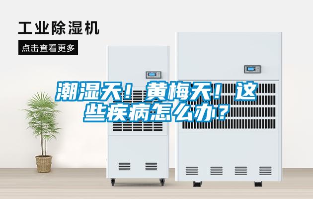 潮湿天！黄梅天！这些疾病怎么办？