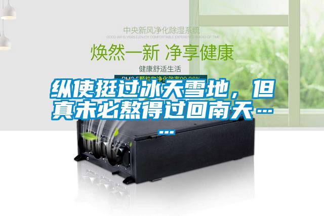 纵使挺过冰天雪地，但真未必熬得过回南天……
