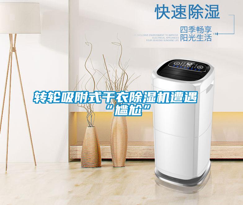 转轮吸附式干衣草莓视频黄色在线观看机遭遇“尴尬”