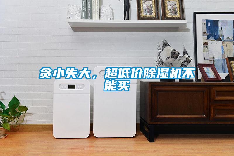 贪小失大，超低价草莓视频黄色在线观看机不能买
