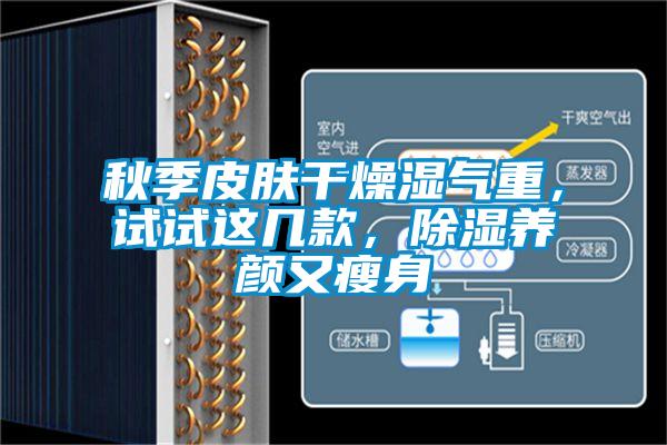 秋季皮肤干燥湿气重，试试这几款，草莓视频黄色在线观看养颜又瘦身
