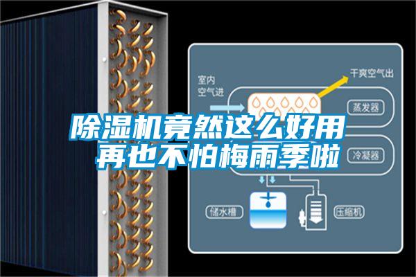 草莓视频黄色在线观看机竟然这么好用 再也不怕梅雨季啦