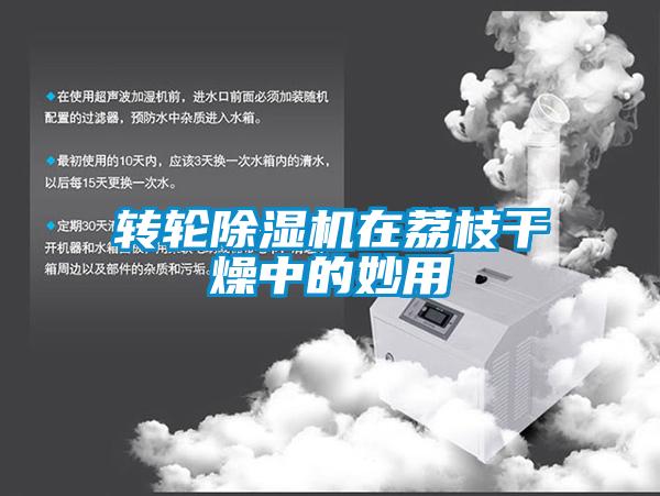 转轮草莓视频黄色在线观看机在荔枝干燥中的妙用
