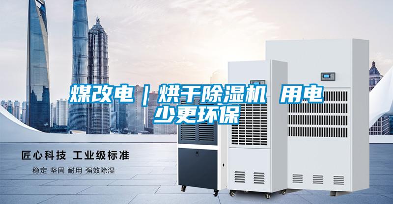 煤改电｜烘干草莓视频黄色在线观看机 用电少更环保