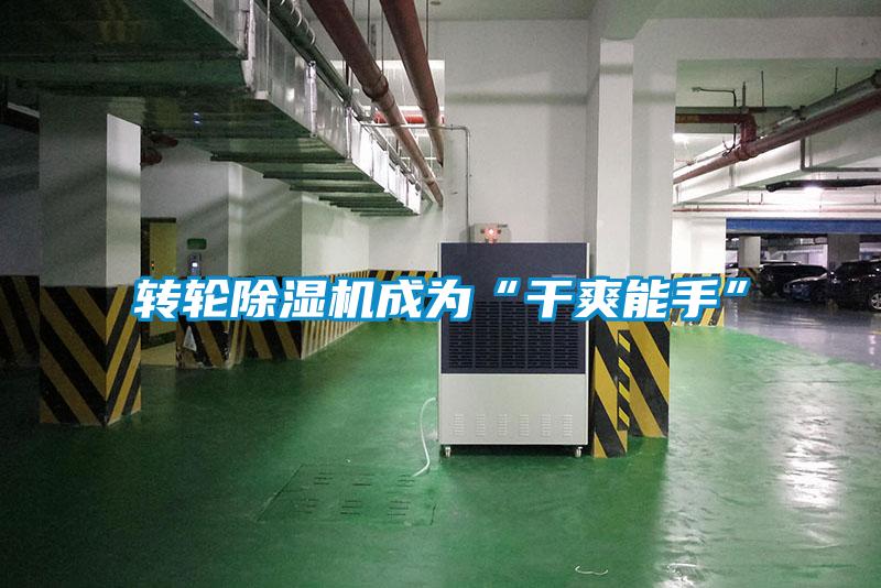 转轮草莓视频黄色在线观看机成为“干爽能手”