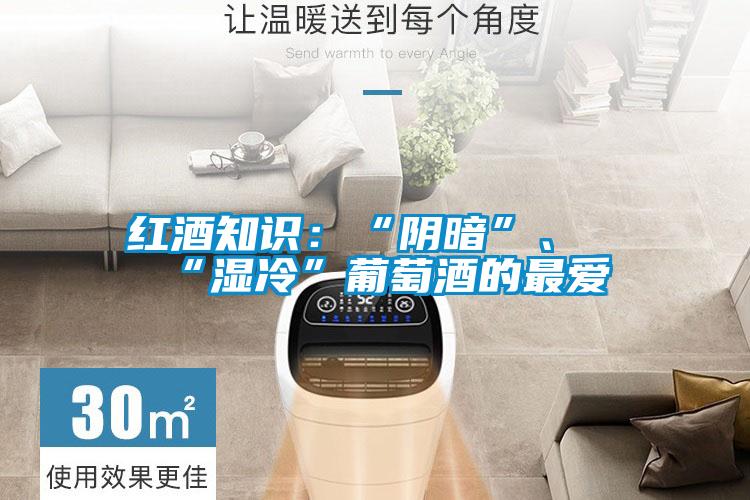 红酒知识：“阴暗”、“湿冷”葡萄酒的最爱