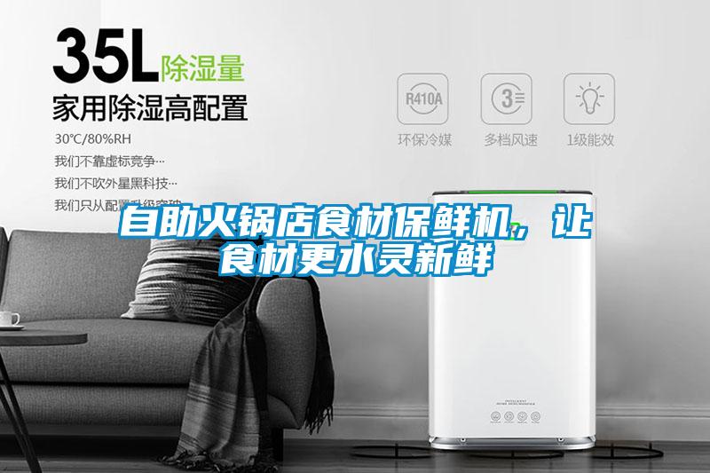 自助火锅店食材保鲜机，让食材更水灵新鲜