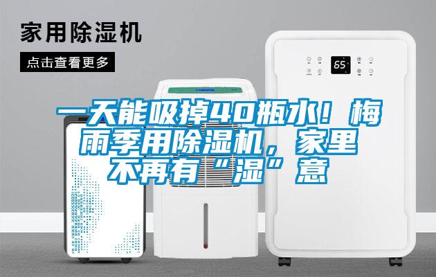 一天能吸掉40瓶水！梅雨季用草莓视频黄色在线观看机，家里不再有“湿”意