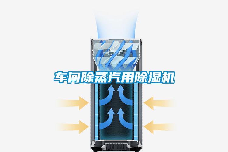 车间除蒸汽用草莓视频黄色在线观看机