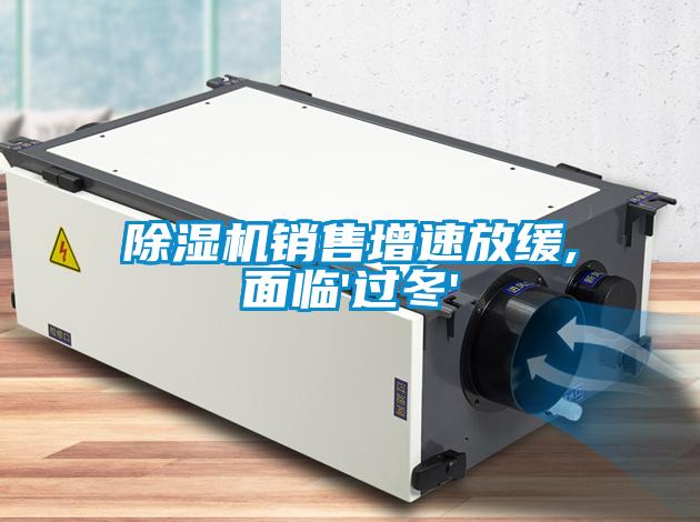 草莓视频黄色在线观看机销售增速放缓,面临'过冬'