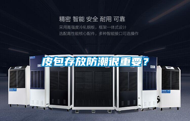 皮包存放防潮很重要？