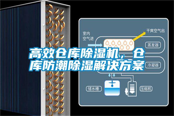 高效仓库草莓视频黄色在线观看机，仓库防潮草莓视频黄色在线观看解决草莓视频成人污版APP