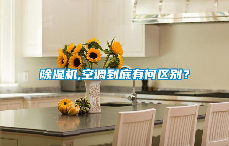 草莓视频黄色在线观看机,空调到底有何区别？