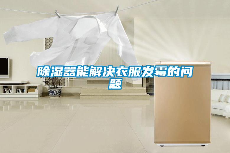 草莓视频黄色在线观看器能解决衣服发霉的问题