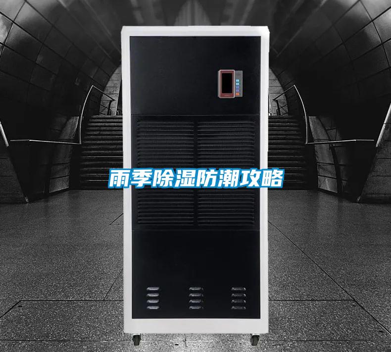 雨季草莓视频黄色在线观看防潮攻略