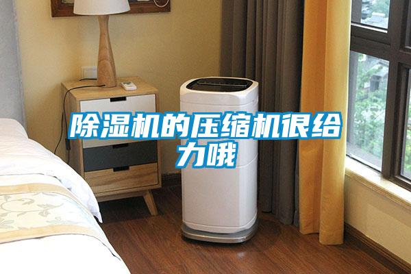 草莓视频黄色在线观看机的压缩机很给力哦