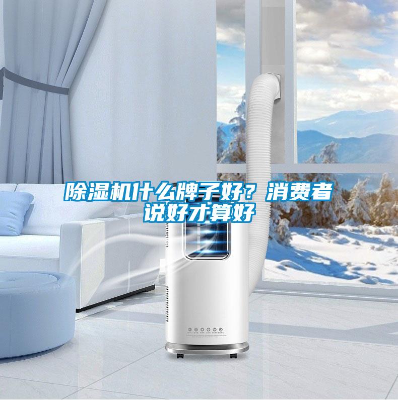 草莓视频黄色在线观看机什么牌子好？消费者说好才算好