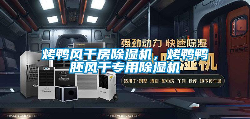 烤鸭风干房草莓视频黄色在线观看机，烤鸭鸭胚风干专用草莓视频黄色在线观看机