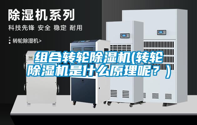 组合转轮草莓视频黄色在线观看机(转轮草莓视频黄色在线观看机是什么原理呢？)