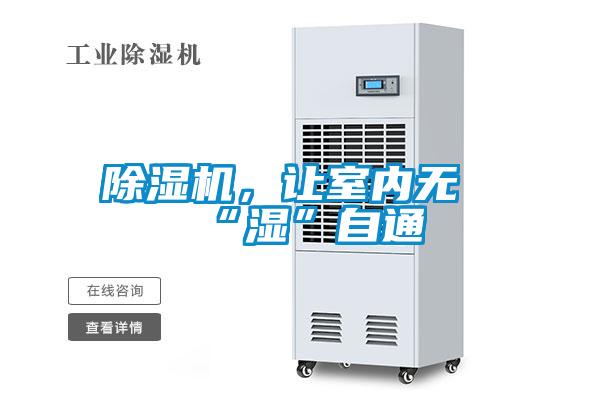 草莓视频黄色在线观看机，让室内无“湿”自通