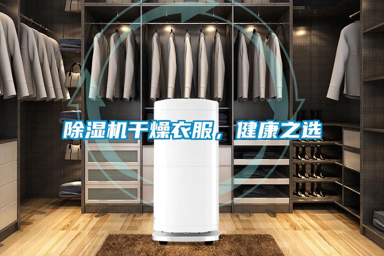 草莓视频黄色在线观看机干燥衣服，健康之选