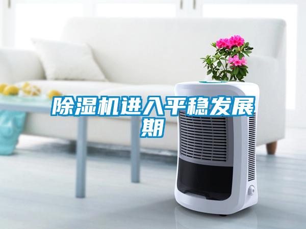 草莓视频黄色在线观看机进入平稳发展期