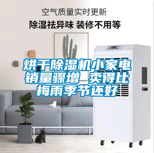 烘干草莓视频黄色在线观看机小家电销量骤增 卖得比梅雨季节还好