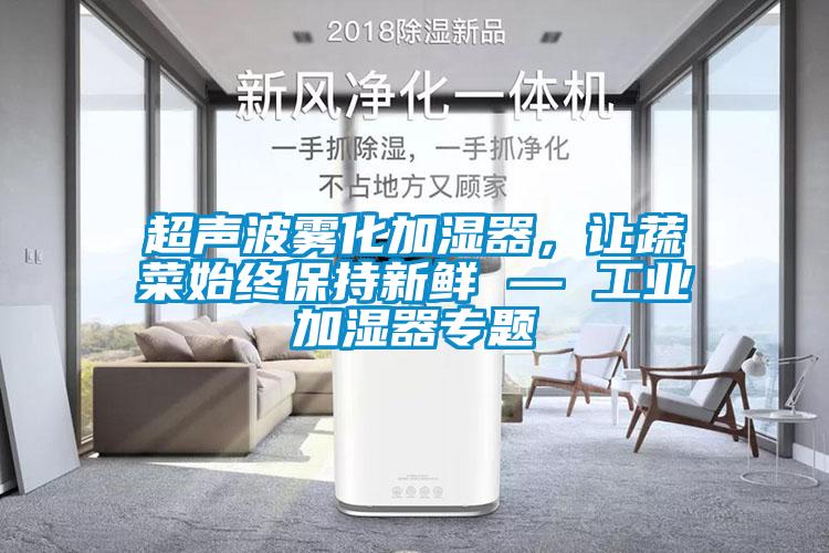 超声波雾化加湿器，让蔬菜始终保持新鲜 — 工业加湿器专题
