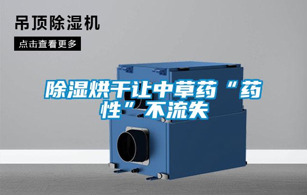 草莓视频黄色在线观看烘干让中草药“药性”不流失