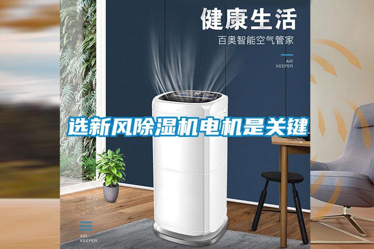 选新风草莓视频黄色在线观看机电机是关键