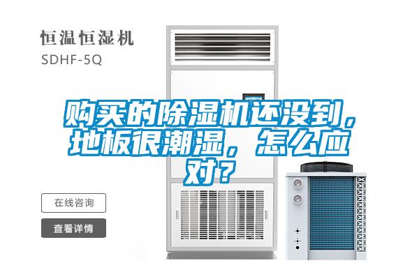 购买的草莓视频黄色在线观看机还没到，地板很潮湿，怎么应对？