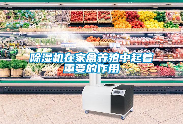 草莓视频黄色在线观看机在家禽养殖中起着重要的作用