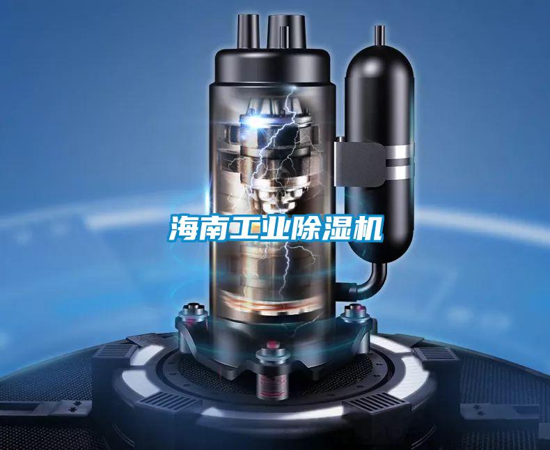 海南工业草莓视频黄色在线观看机