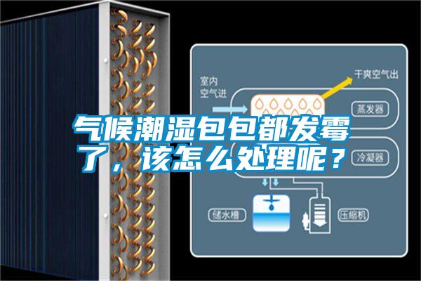 气候潮湿包包都发霉了，该怎么处理呢？