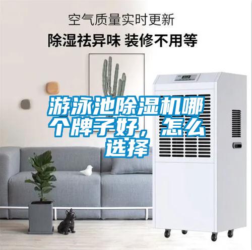 游泳池草莓视频黄色在线观看机哪个牌子好，怎么选择
