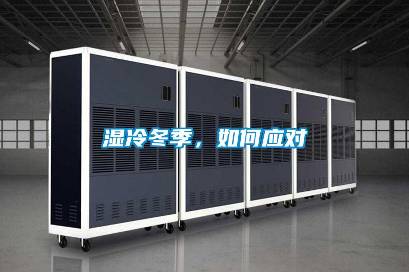 湿冷冬季，如何应对