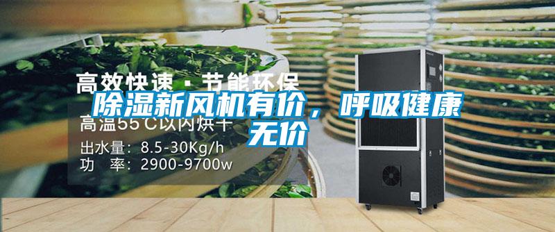 草莓视频黄色在线观看新风机有价，呼吸健康无价