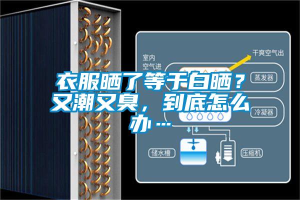 衣服晒了等于白晒？又潮又臭，到底怎么办…