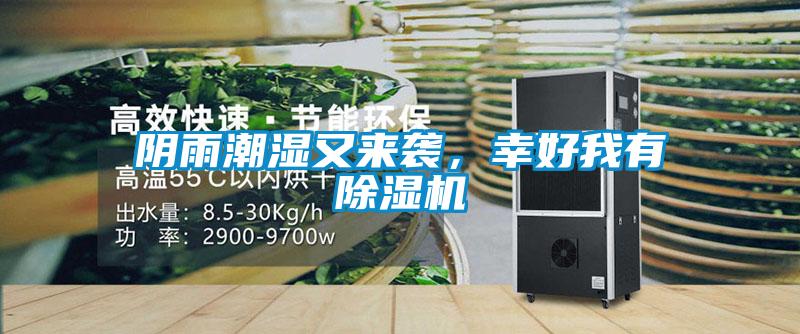 阴雨潮湿又来袭，幸好我有草莓视频黄色在线观看机