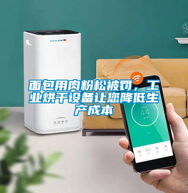 面包用肉粉松被罚，工业烘干设备让您降低生产成本